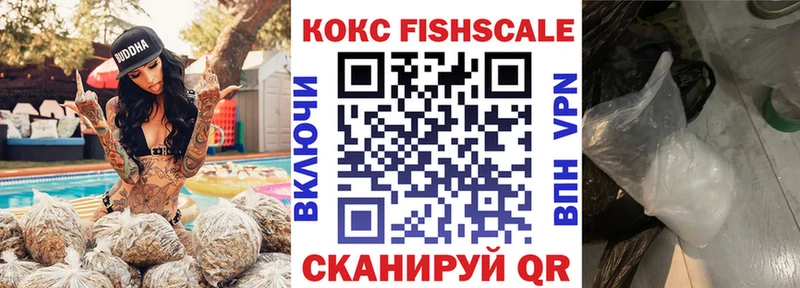 hydra Староминская Cocaine Fish Scale наркотики