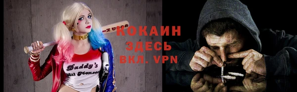 сатива Арсеньев