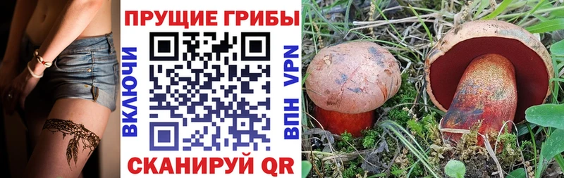 Псилоцибиновые грибы MAGIC MUSHROOMS Староминская