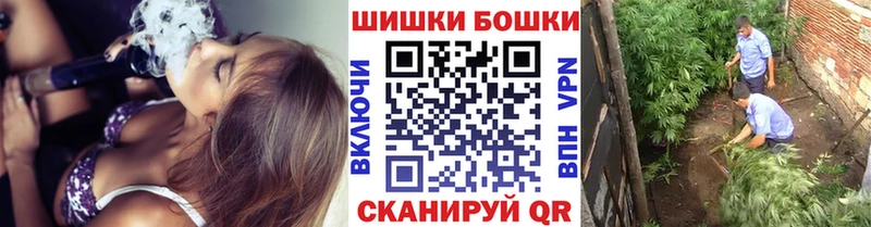 Конопля ГИДРОПОН где можно купить Староминская
